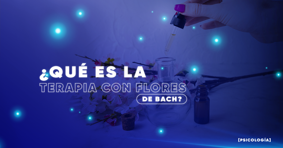 ¿Qué es la Terapia con Flores de Bach? [Psicología]